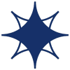 9S-v-39531