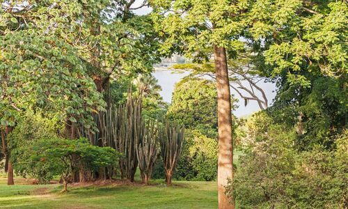 الرياض - إنتيبي