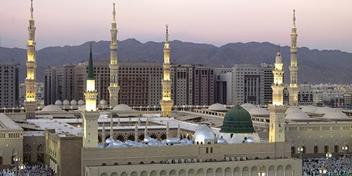 الرياض - المدينة المنورة flight ticket